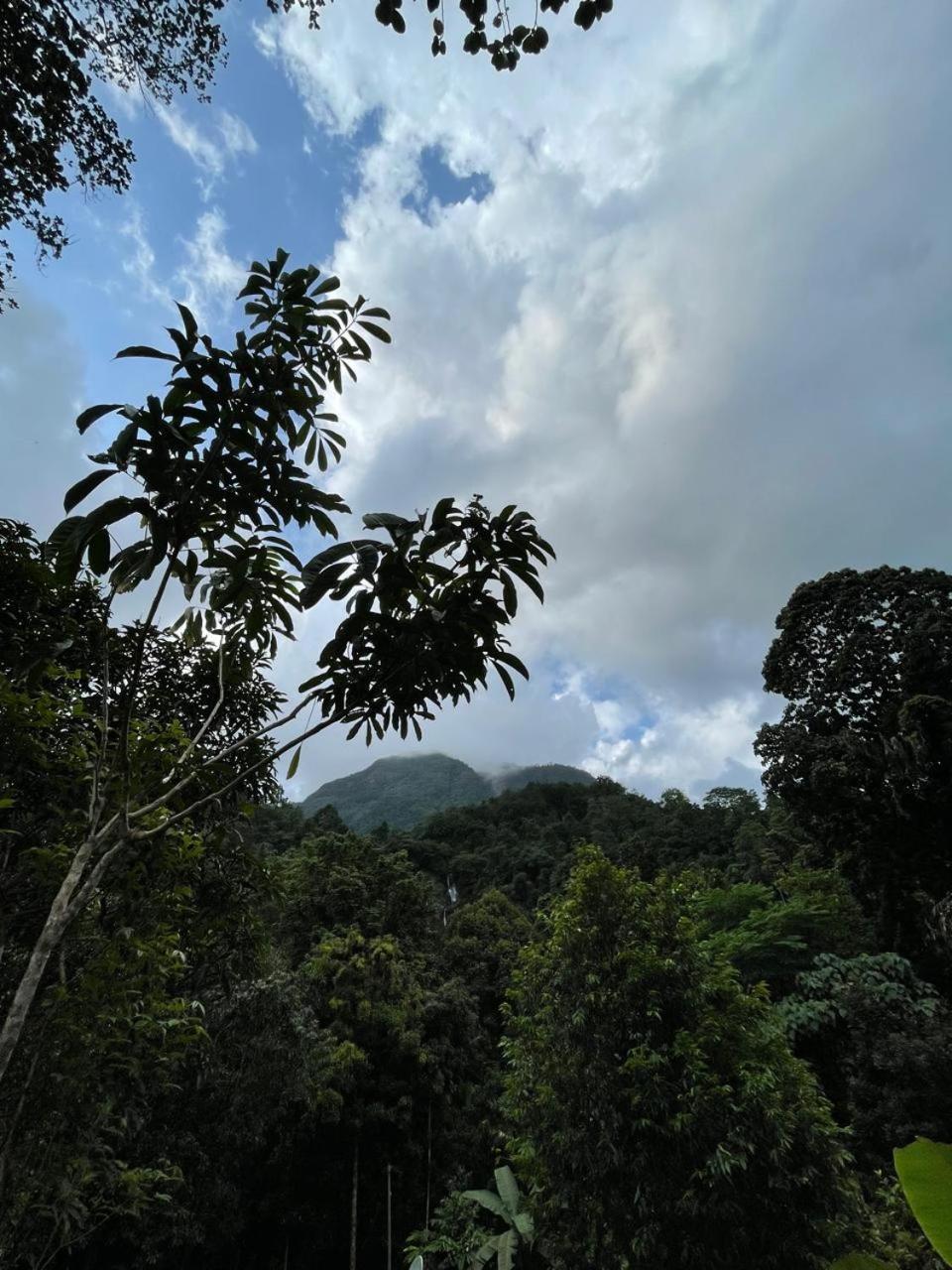 Gallene Gala Nature Resort Kitulgala Exterior photo