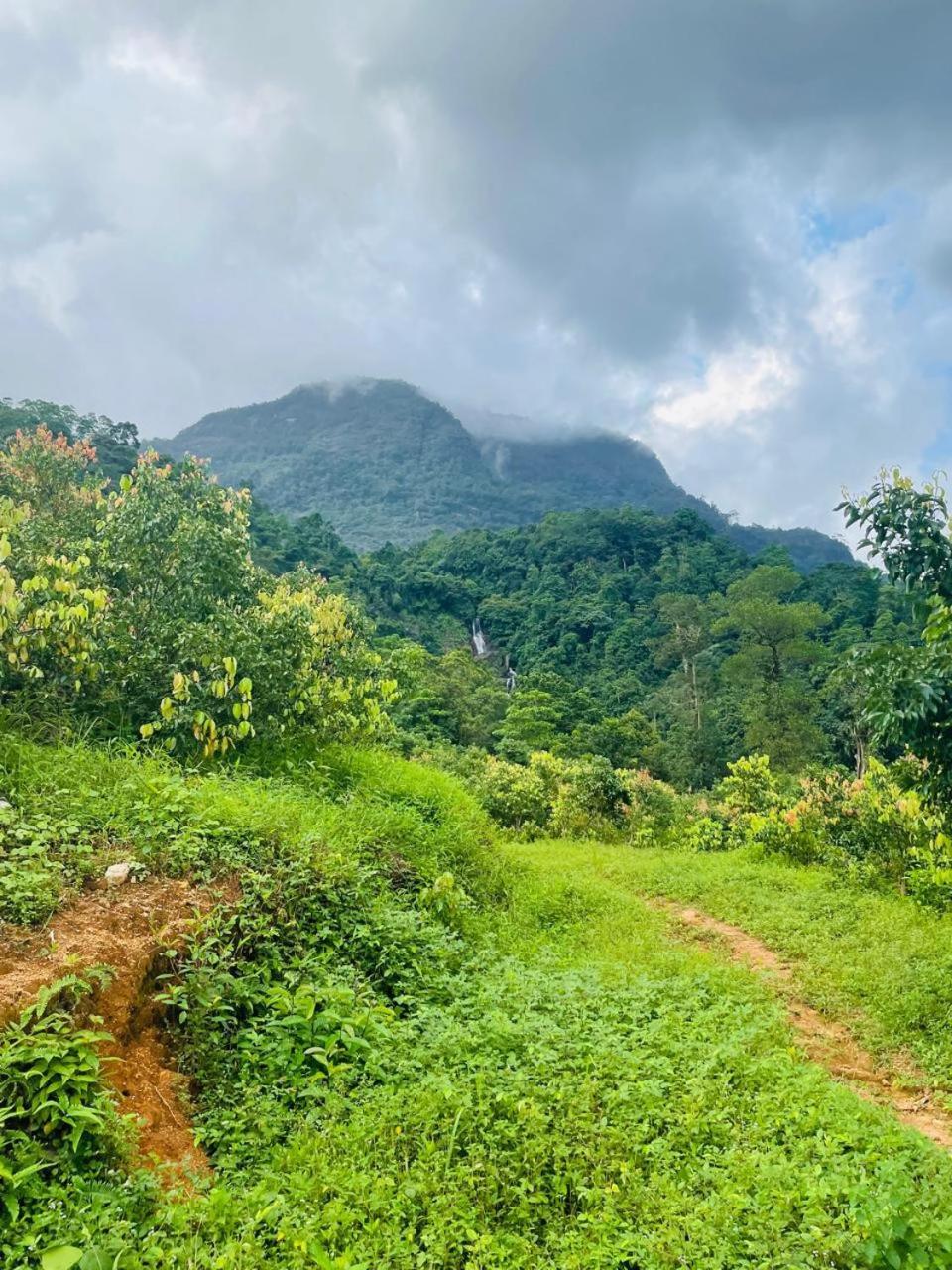 Gallene Gala Nature Resort Kitulgala Exterior photo
